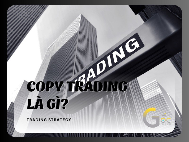 Copy Trading là gì? Hướng dẫn Copy Trading cho người mới