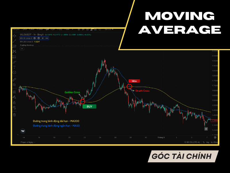 Leading và Lagging Indicators trong đầu tư.