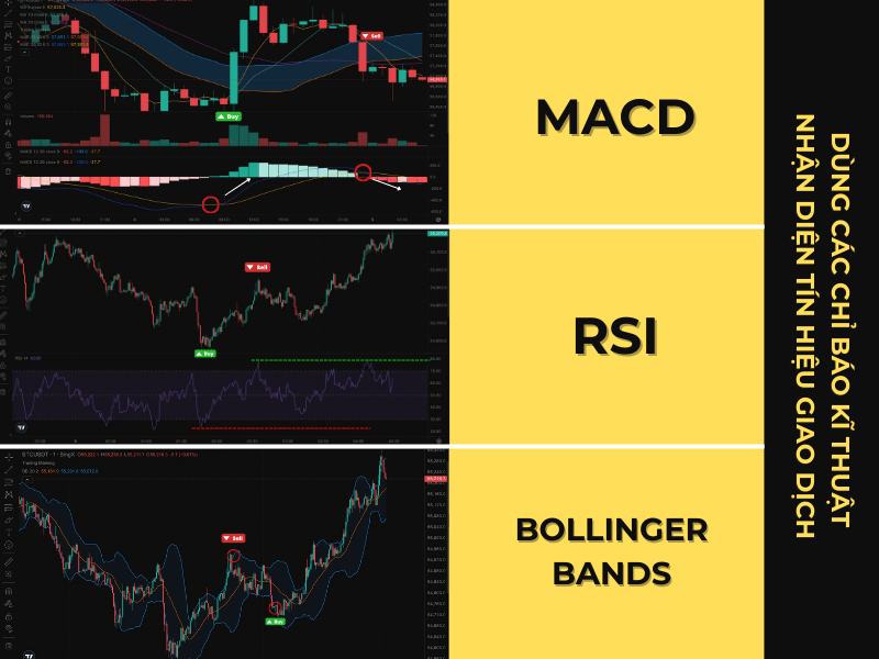 So Sánh MACD Với RSI Và Bollinger Bands.